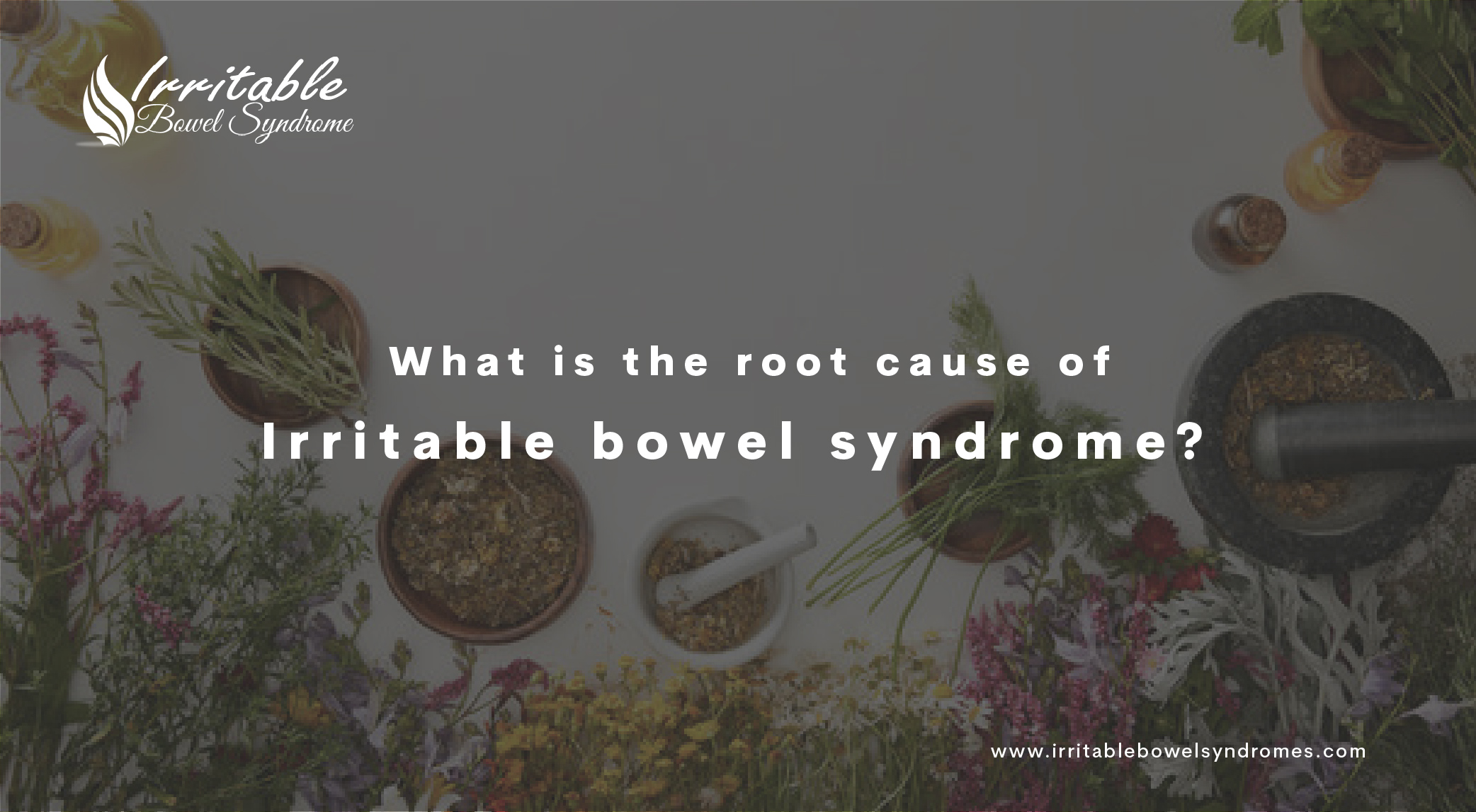 What is the Root Cause of IBS?