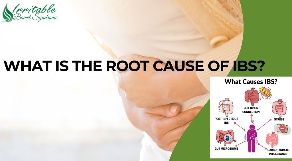 What Is the Root Cause of IBS?