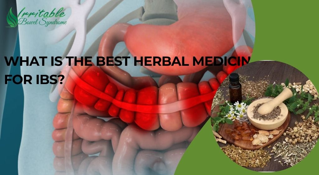 What is the Best Herbal Medicine for IBS?