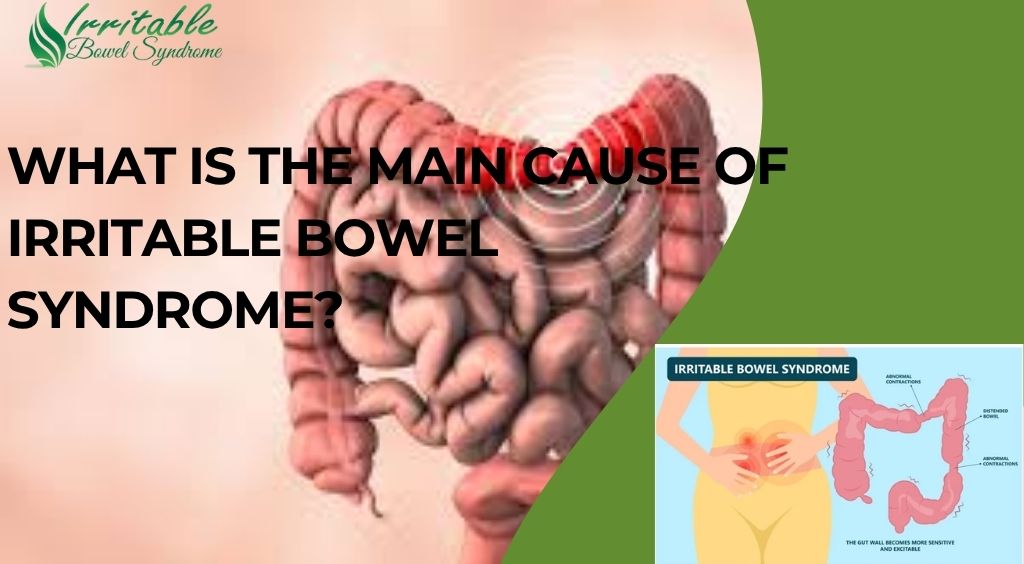 What Is the Main Cause of Irritable Bowel Syndrome?